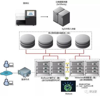 基因檢測分析服務升級，榮之聯助力菩提慧生醫學檢驗所數據處理服務