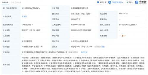 北京數據集團正式揭牌成立，為數據處理服務注入新動力