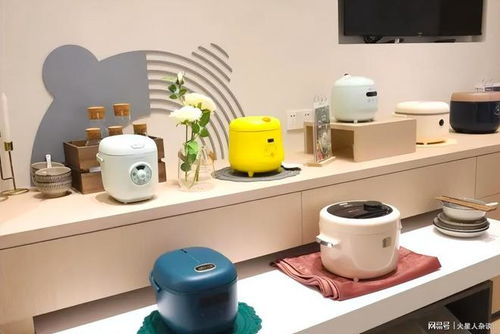 中國小家電上市公司的“營收王” 一位年收202億元的商業(yè)巨頭領(lǐng)先科沃斯、超越九陽